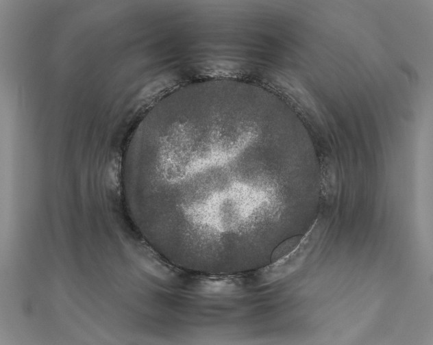 X0000111840175200908061301