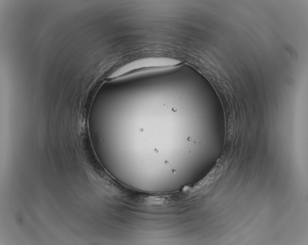 X0000111840176200908061301