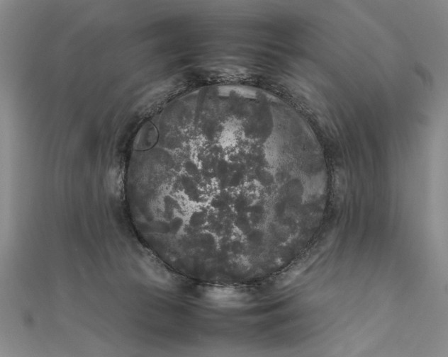 X0000111840177200908061301