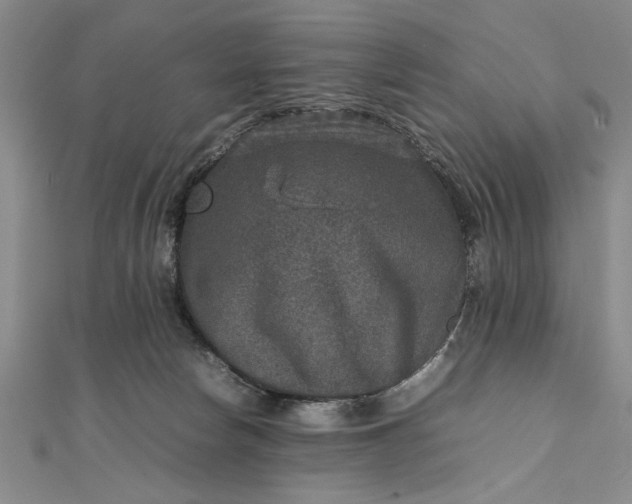 X0000111840178200908061301