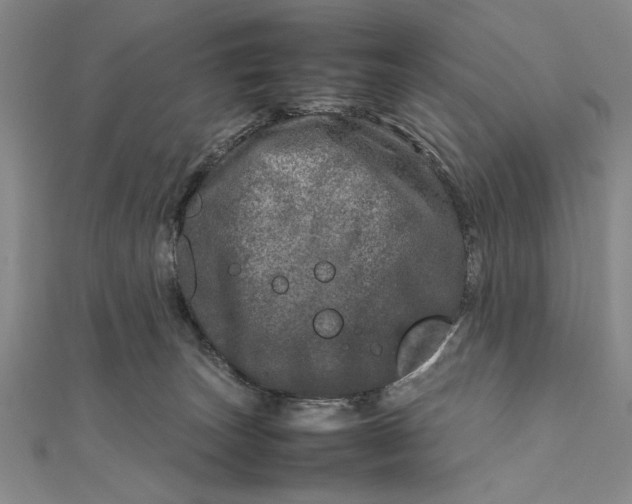 X0000111840179200908061301