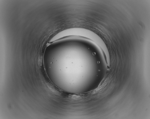 X0000111840180200908061301