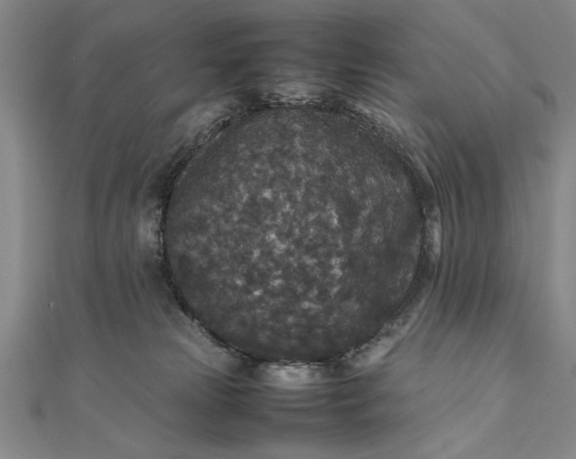 X0000111840181200908061301