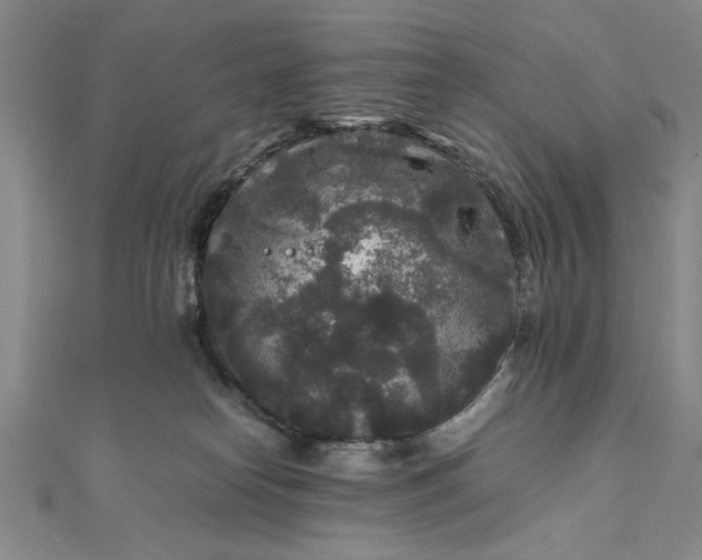 X0000111840182200908061301