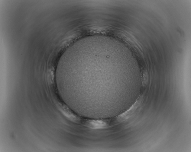 X0000111840183200908061301