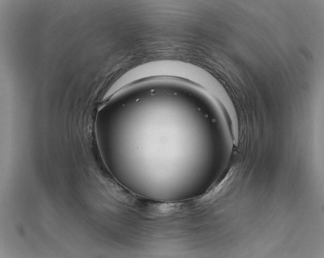 X0000111840184200908061301