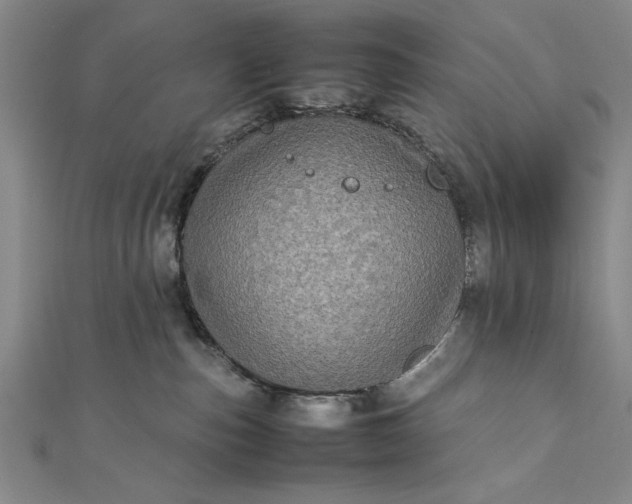 X0000111840187200908061301