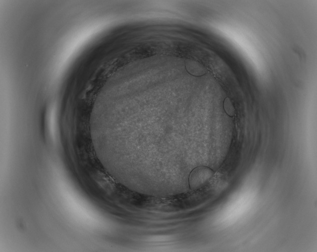 X0000111840189200908061301