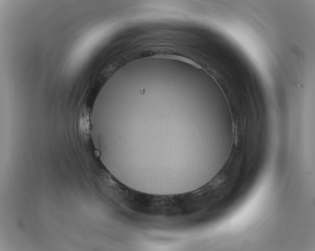 X0000111840190200908061301