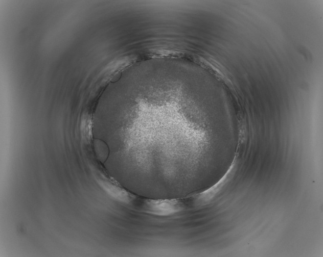 X0000111840191200908061301