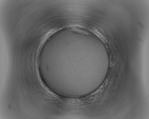 X0000111840193200908061301