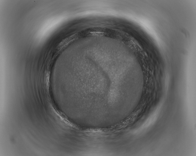 X0000111840194200908061301