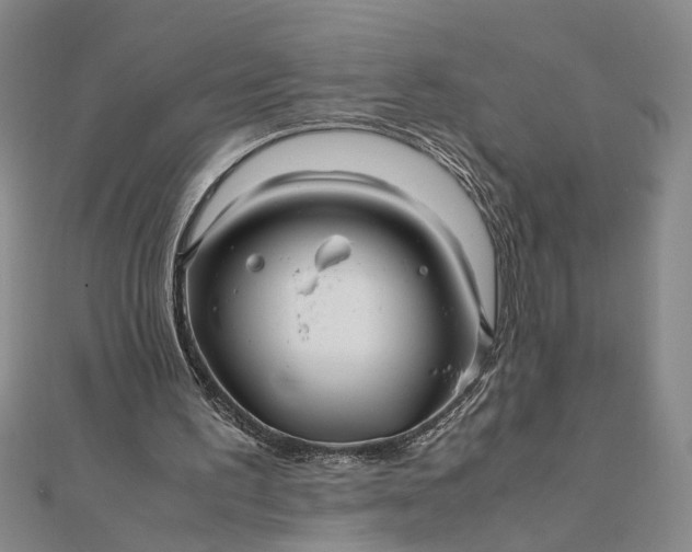 X0000111840195200908061301