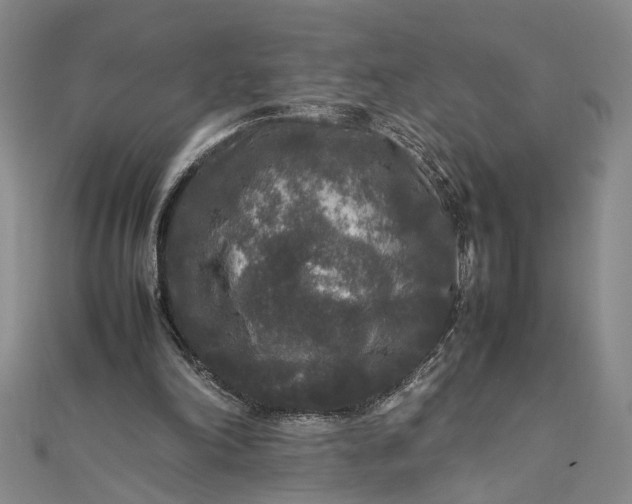 X0000111840198200908061300