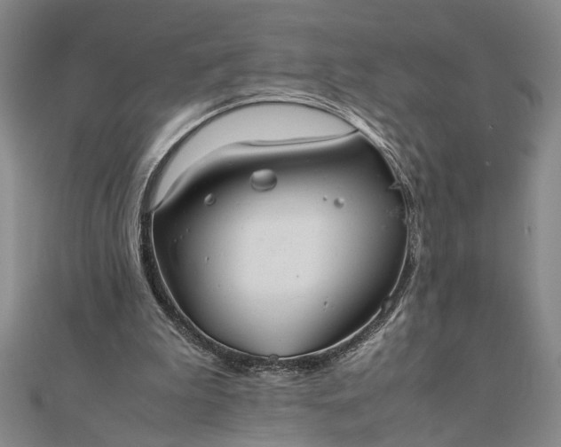 X0000111840199200908061300