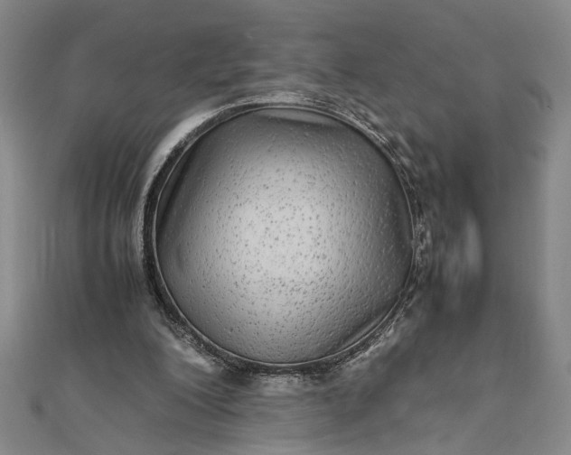 X0000111840200200908061300