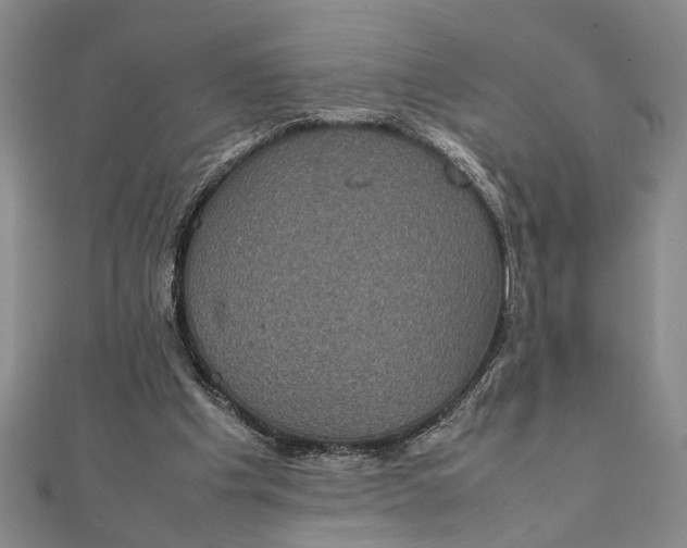 X0000111840201200908061300