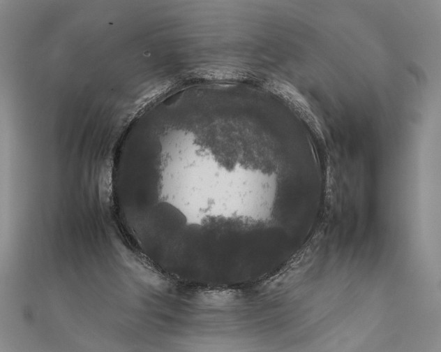 X0000111840202200908061300