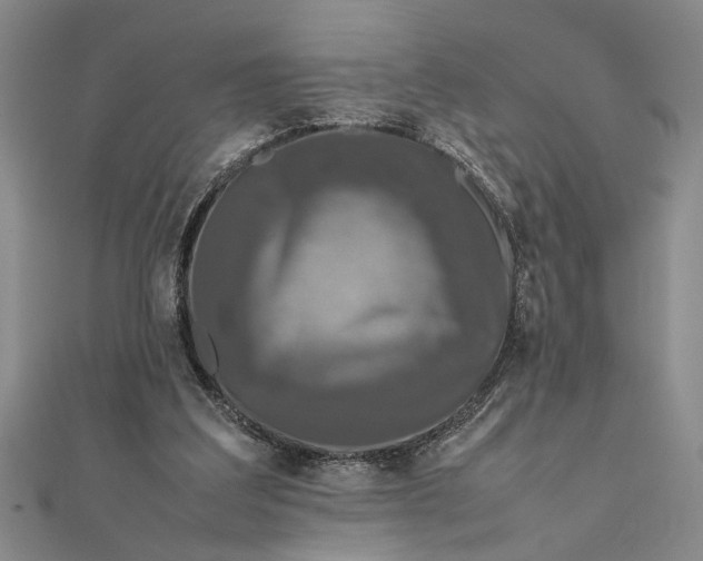 X0000111840203200908061300