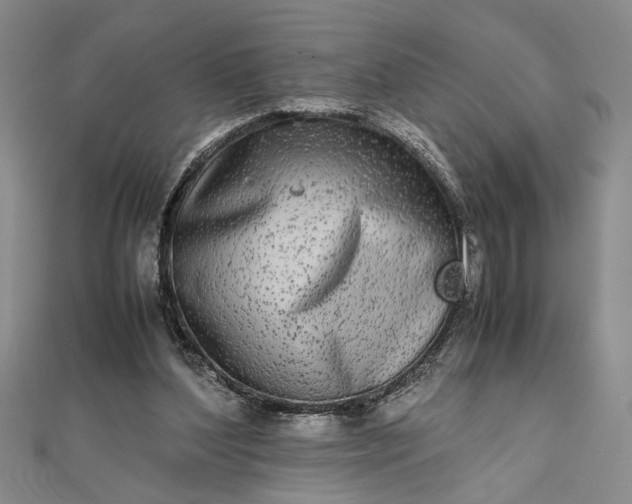 X0000111840204200908061300