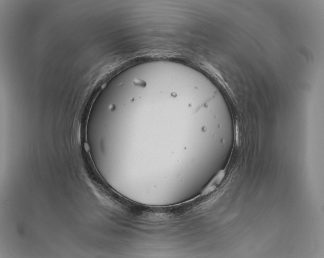 X0000111840205200908061300