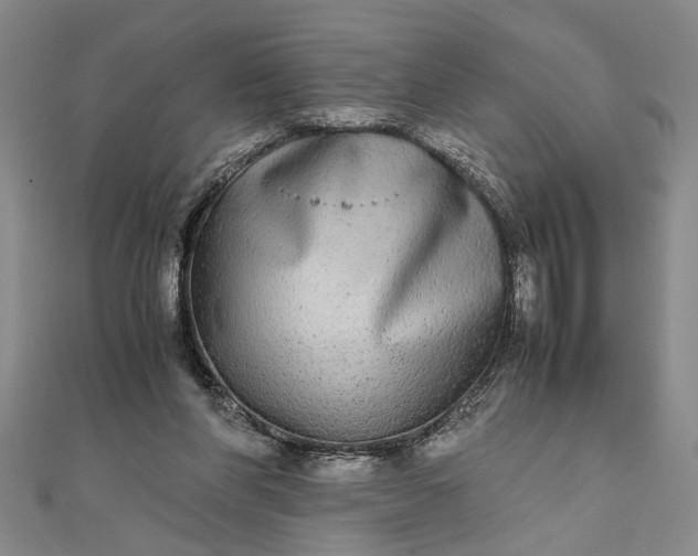 X0000111840206200908061300