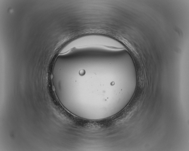 X0000111840207200908061300