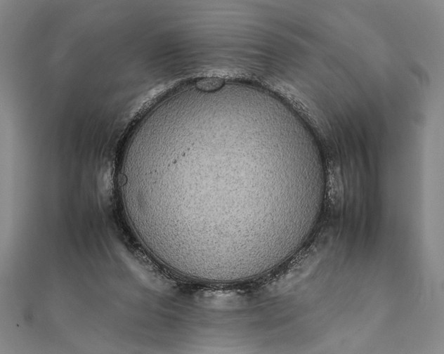 X0000111840208200908061300