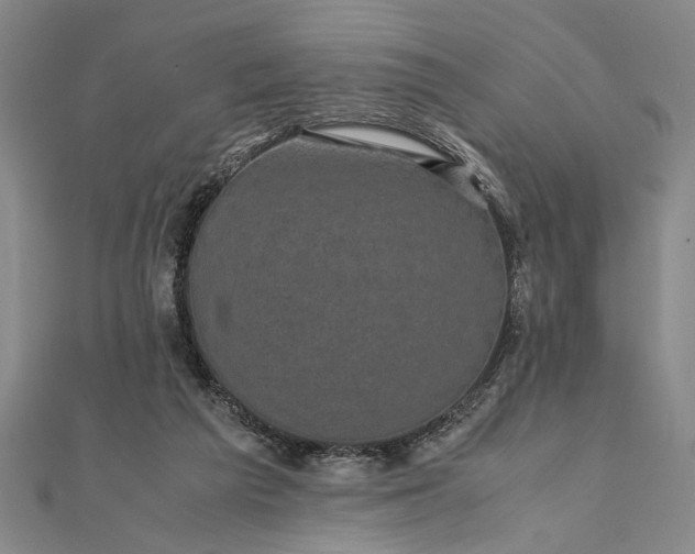 X0000111840209200908061300