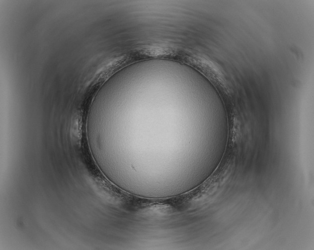 X0000111840210200908061300