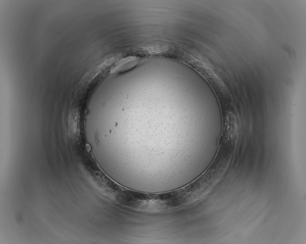 X0000111840212200908061300