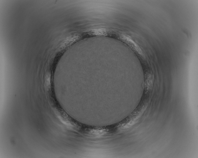 X0000111840213200908061300