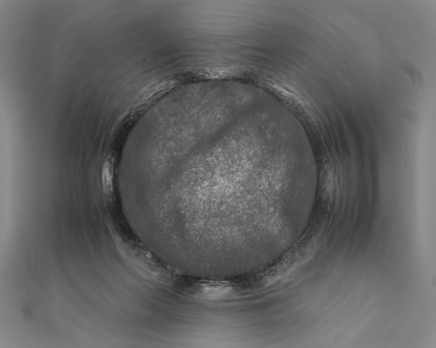 X0000111840214200908061300