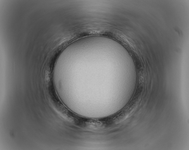 X0000111840215200908061300