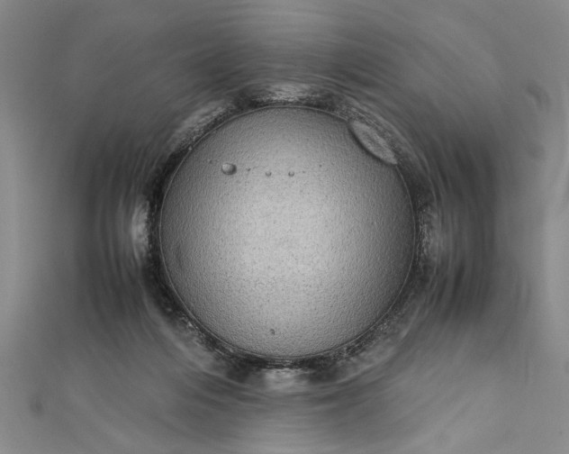 X0000111840216200908061300