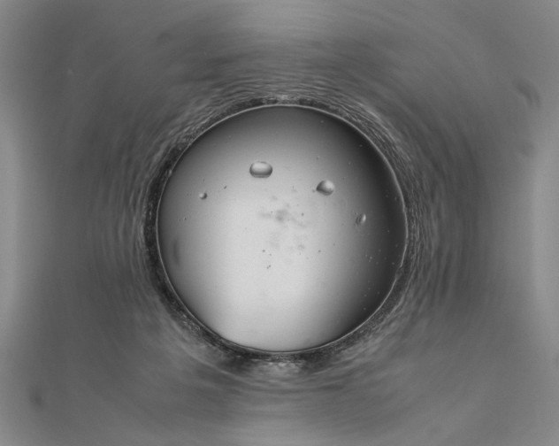 X0000111840217200908061300