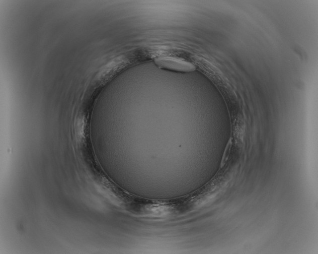 X0000111840219200908061300