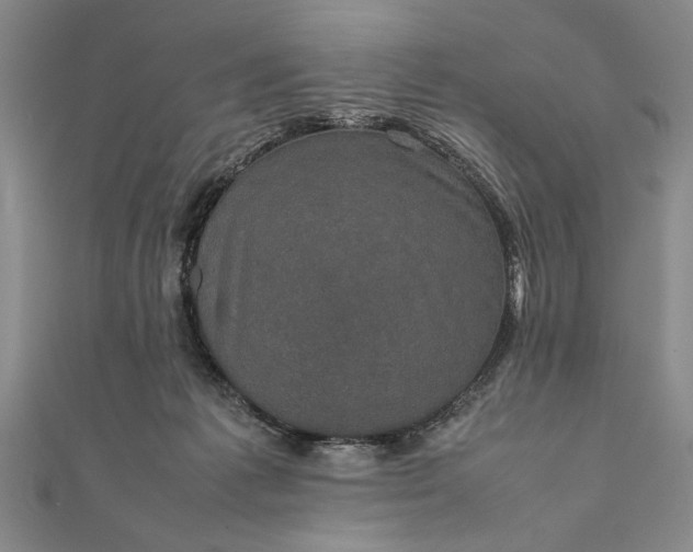 X0000111840221200908061300