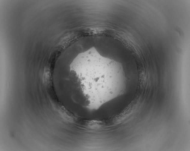 X0000111840222200908061300