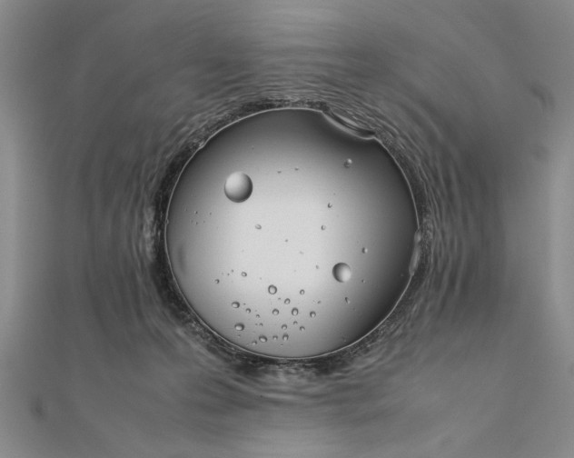 X0000111840223200908061300