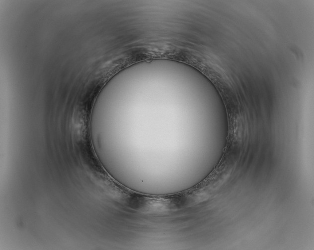 X0000111840226200908061300