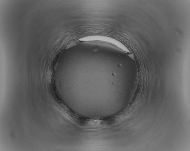 X0000111840227200908061300