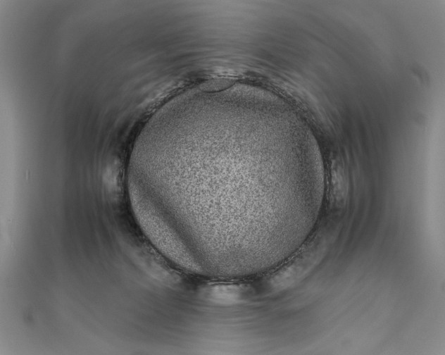 X0000111840228200908061300