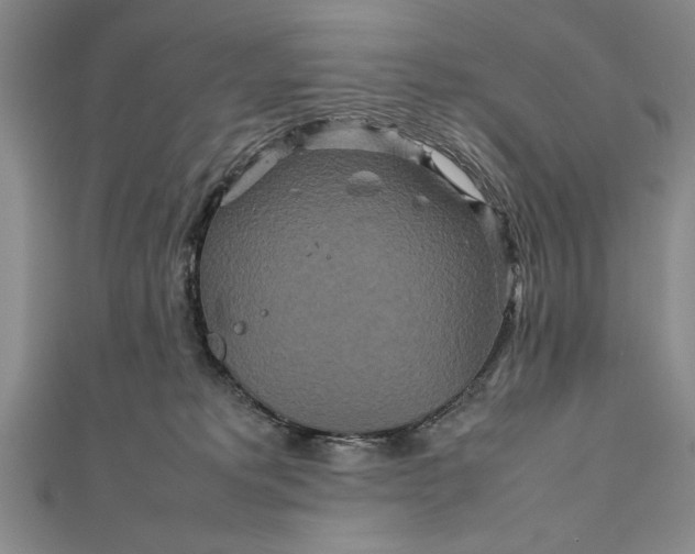 X0000111840229200908061300