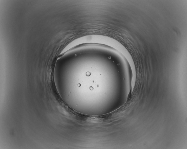 X0000111840231200908061300