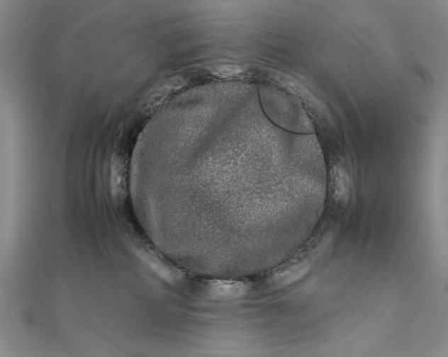 X0000111840234200908061300