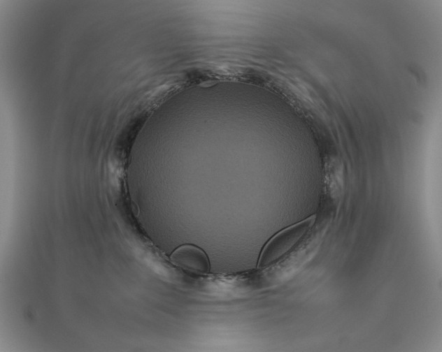 X0000111840235200908061300