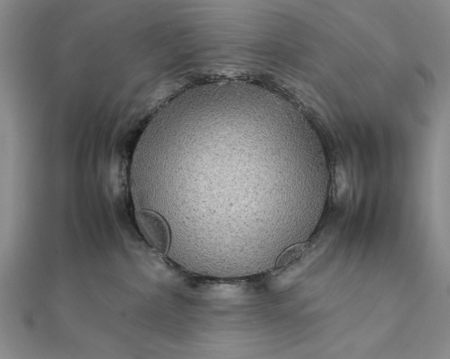 X0000111840236200908061300