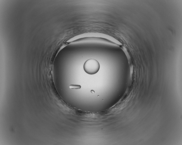 X0000111840237200908061300