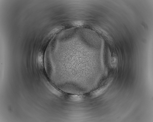 X0000111840238200908061300